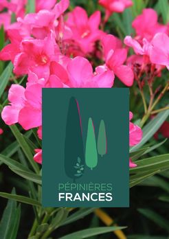Visuel et logo des pépinères Frances à Pézenas