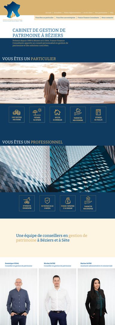 Visuel du site internet de France Finance Consultants