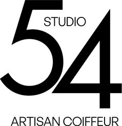 Nouveau logo du Studio 54